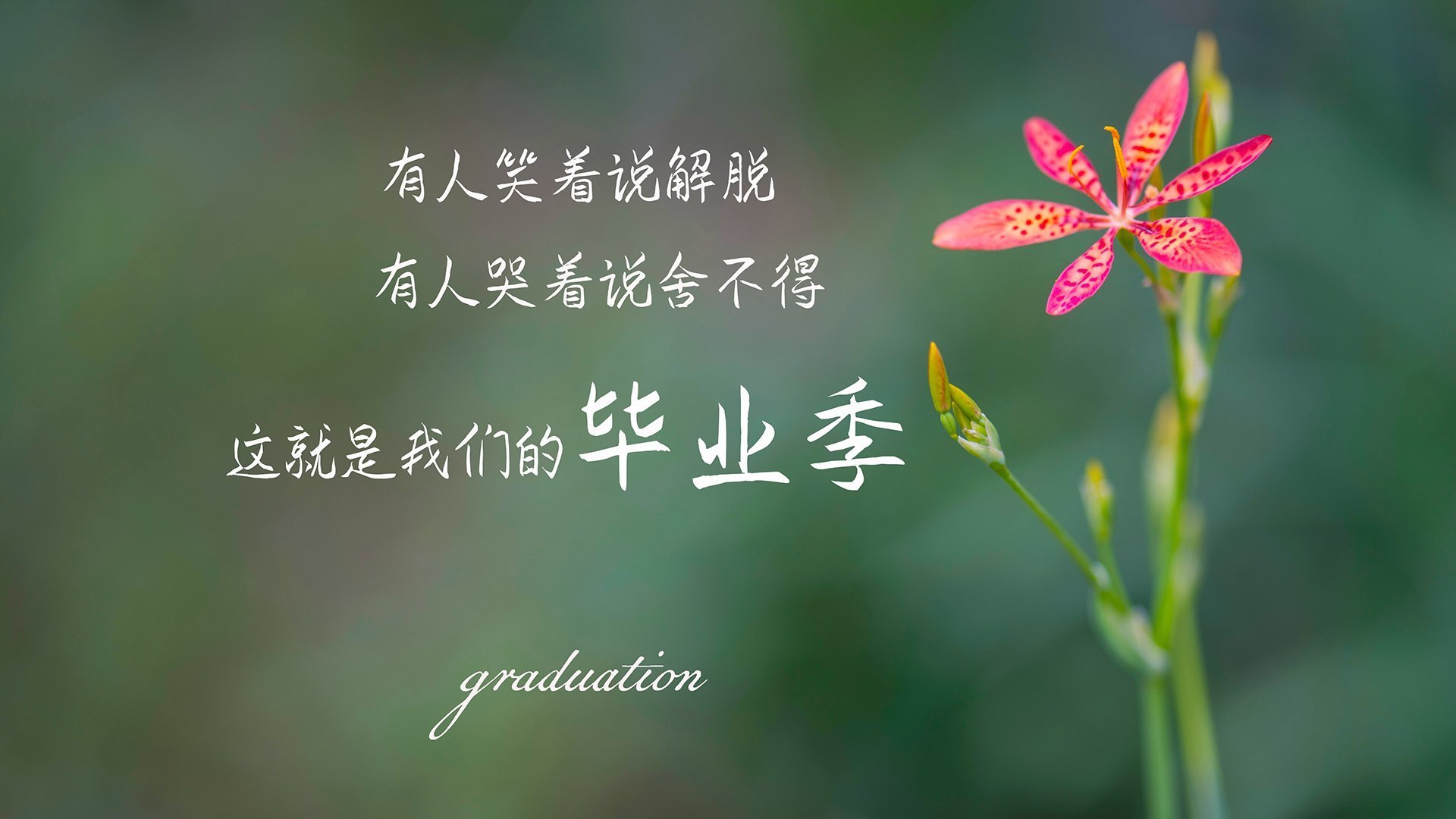 王者礼赞：历年MVP得主的辉煌瞬间，王者荣耀历届mvp