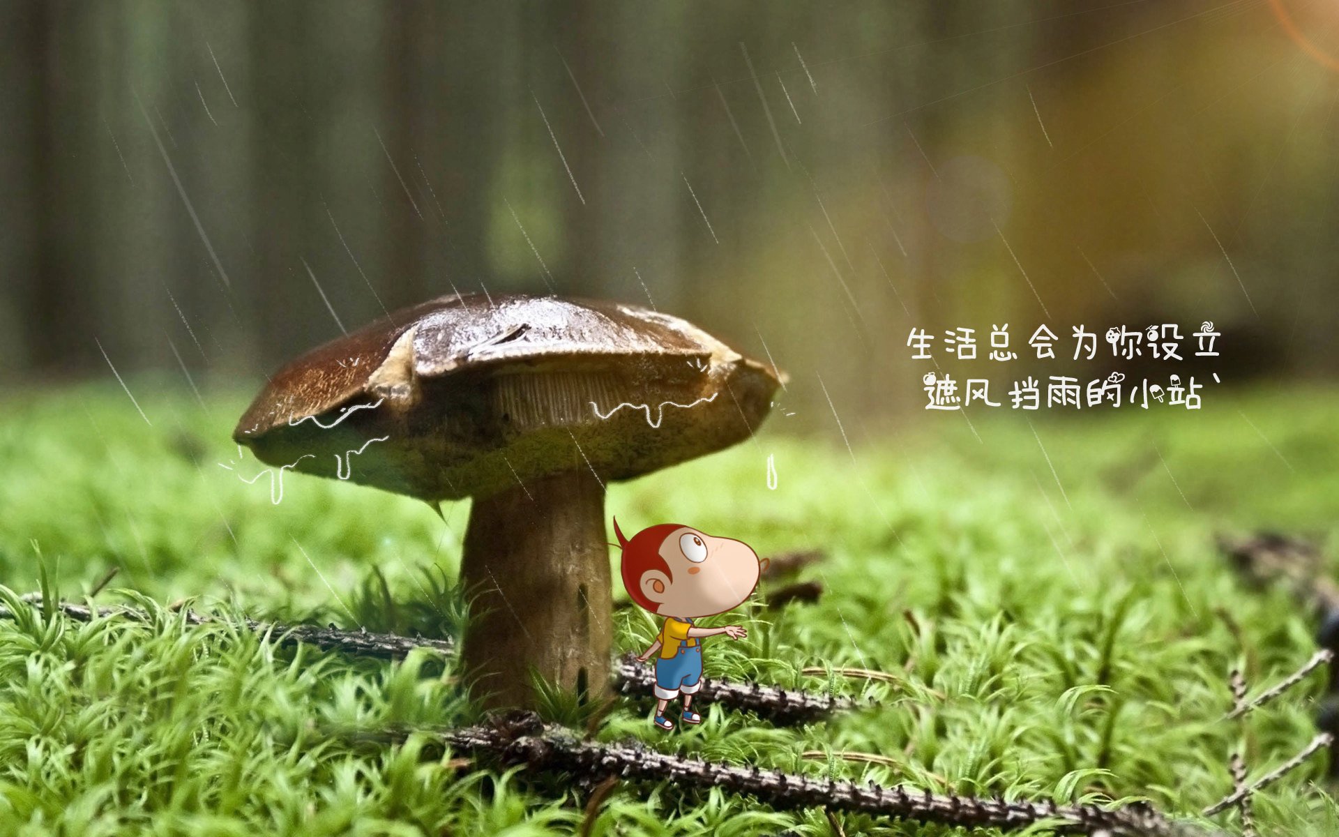 中国足球的职业联赛薪酬体系，中国足球工资表