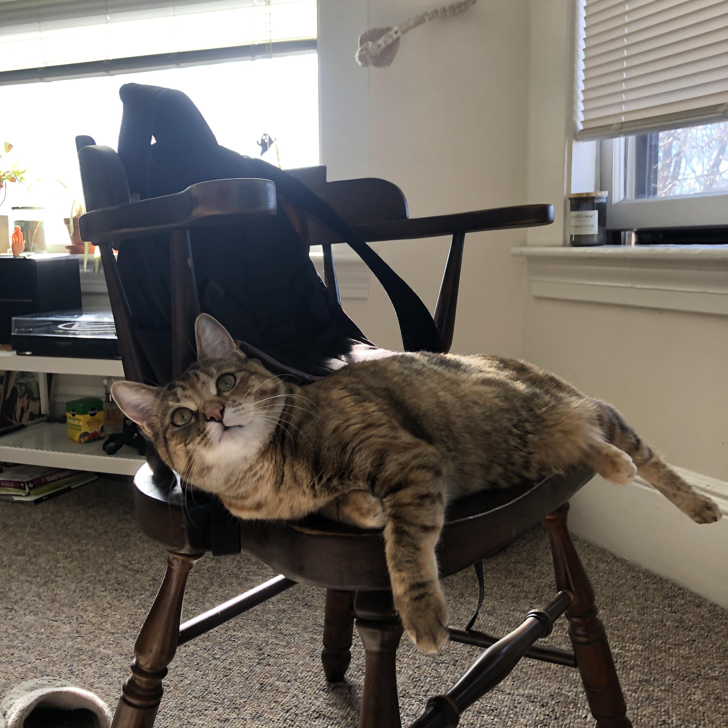 爱游戏-凯尔特人组织球员家庭日活动增强归属感，凯尔特人 球员