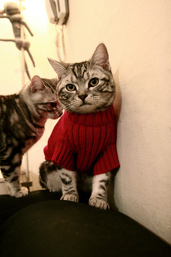 爱游戏平台-意甲灵动传控：精彩配合令人称奇！，灵动体育文化有限公司