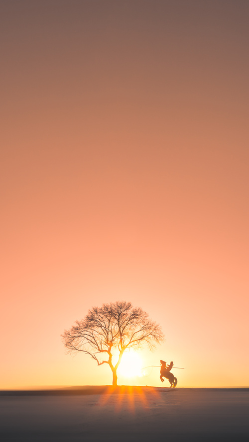爱游戏娱乐平台-瑞典女篮在欧洲锦标赛中表现亮眼，逐步走向国际舞台