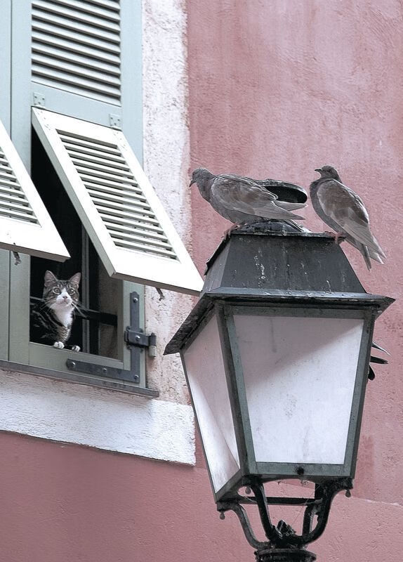 爱游戏下载-篮球联赛裁判执法规范化培训持续深化，篮球裁判员培训方案