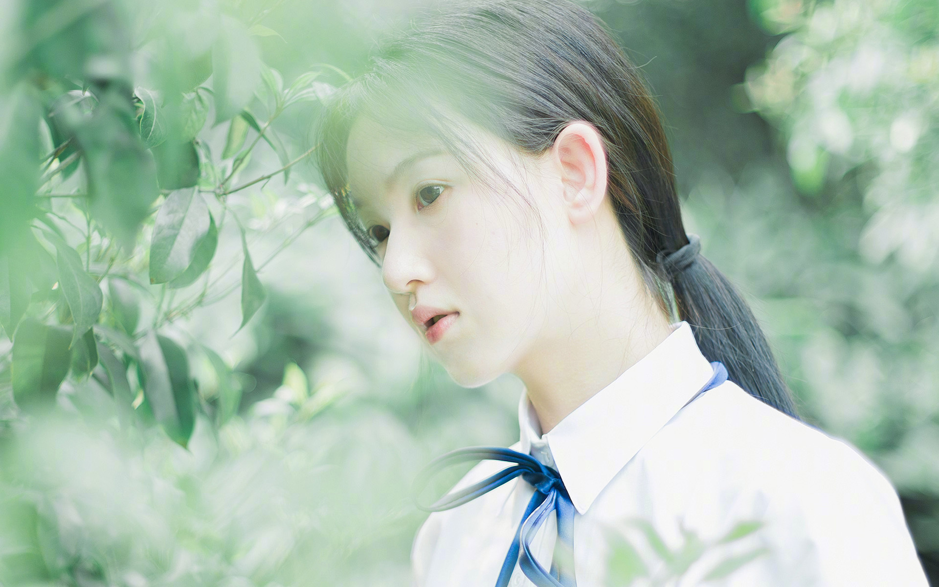 爱游戏-荷兰蝶泳新秀跻身决赛圈，荷兰游泳奥运冠军