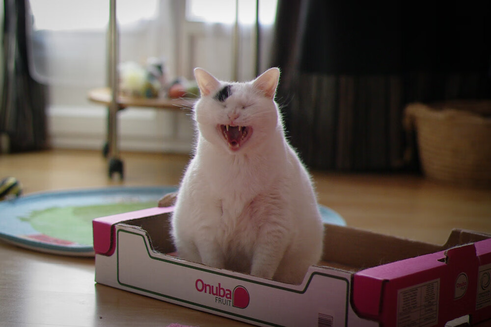 爱游戏下载-赛事招商合作成果显著吸引多领域企业跨界参与，招商引资竞赛