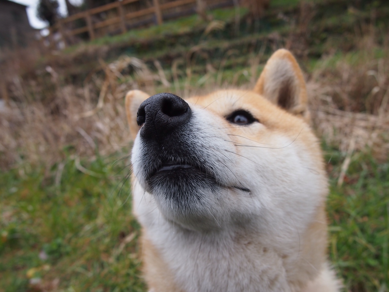 AYX SPORTS-艾比·德尔福：以强硬防守和精准传球稳固南非队后场，艾比利德尔